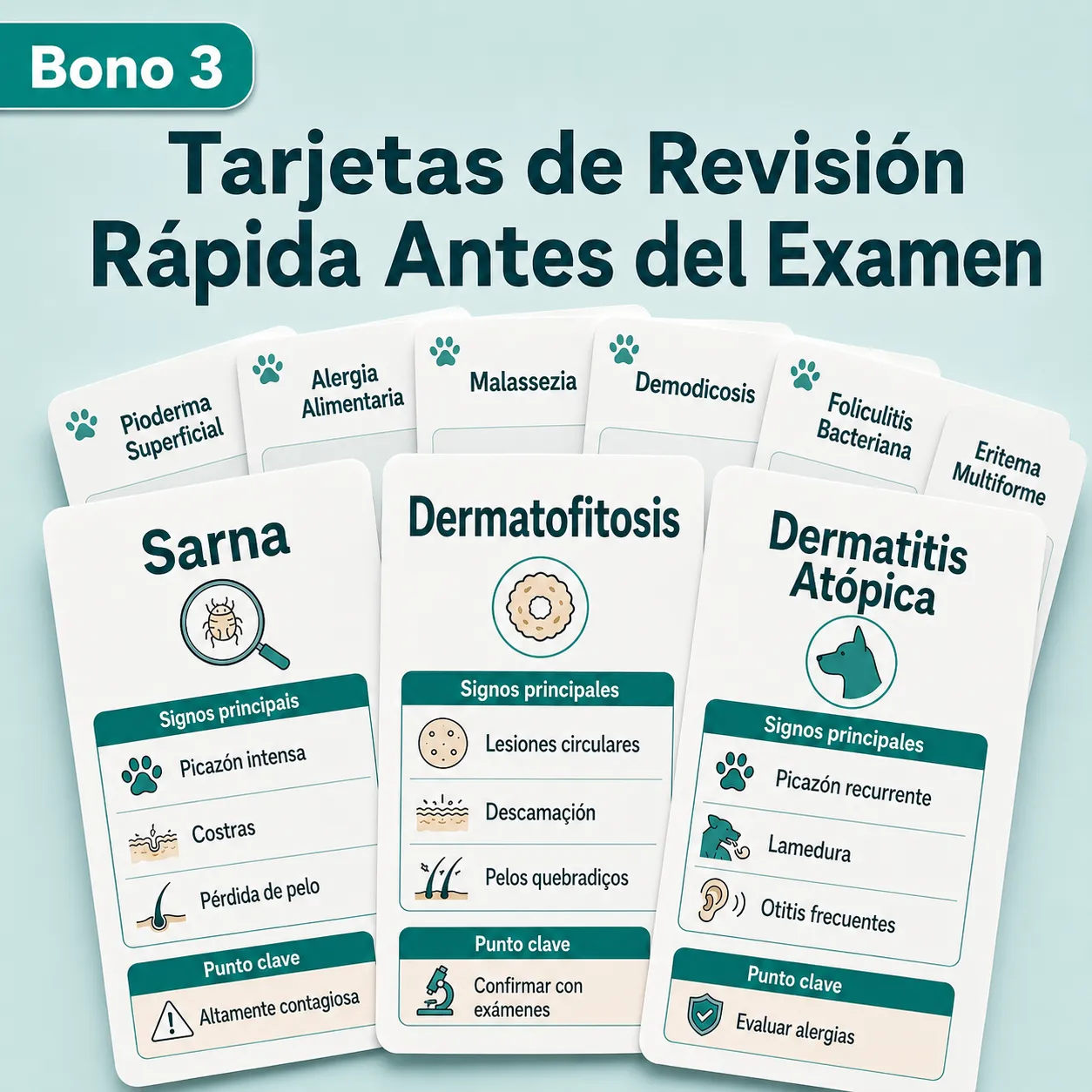 Bônus 3