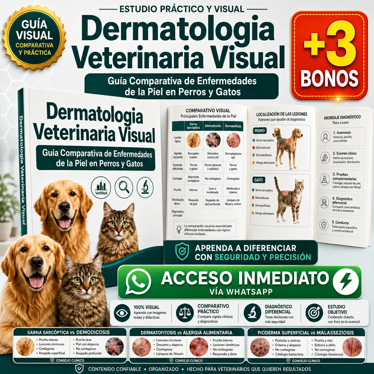 DermatoVet Visual — Dermatología Veterinaria